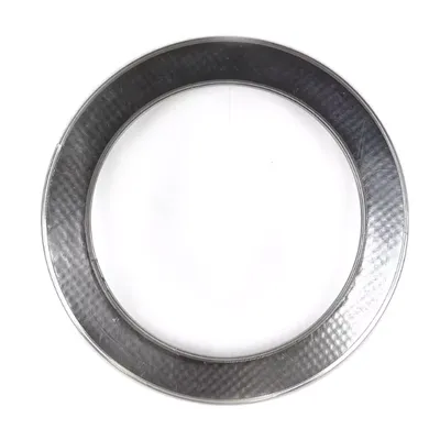 Reinforced Graphite Gaskets